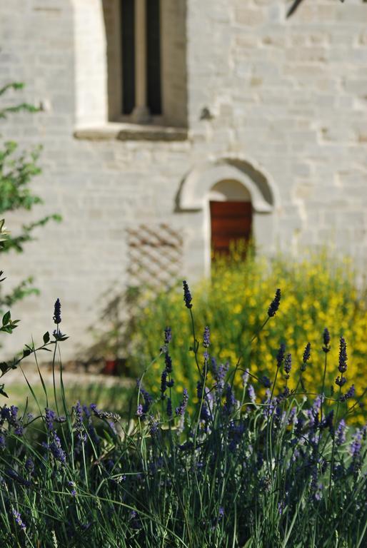 B&B San Paterniano Cingoli Exterior photo
